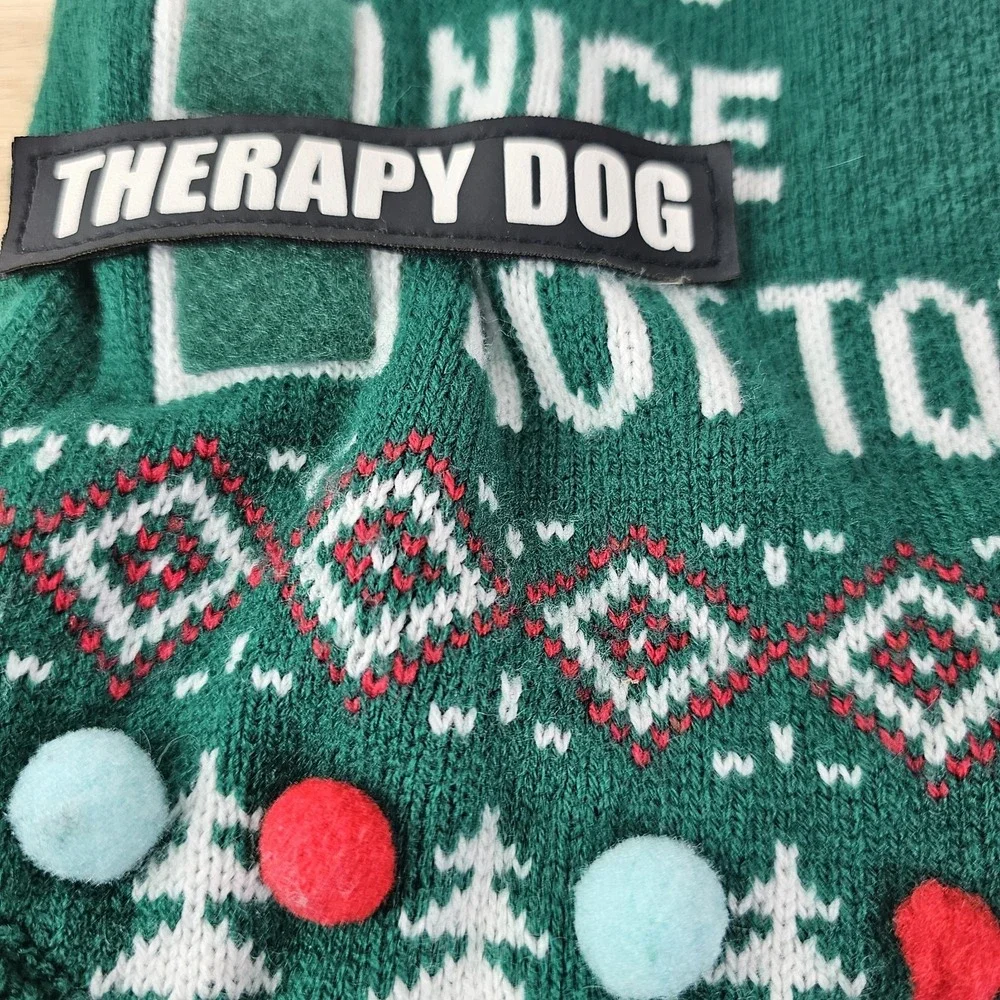 Naughty Nice I‎ Tried Therapy Dog Christmas Sweater Green Holiday Pet Clothes